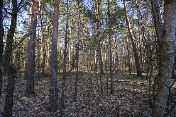 Auf dem Grundstück (8).jpg