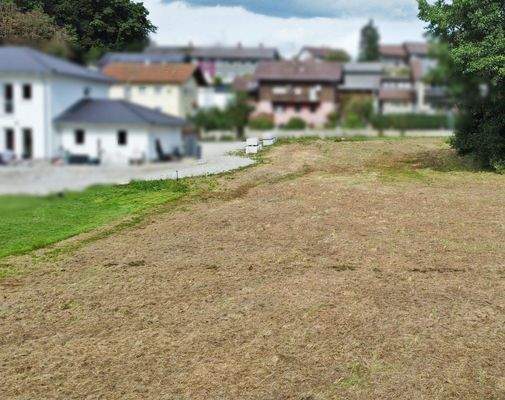 Luftbild Grundstück (8).JPG