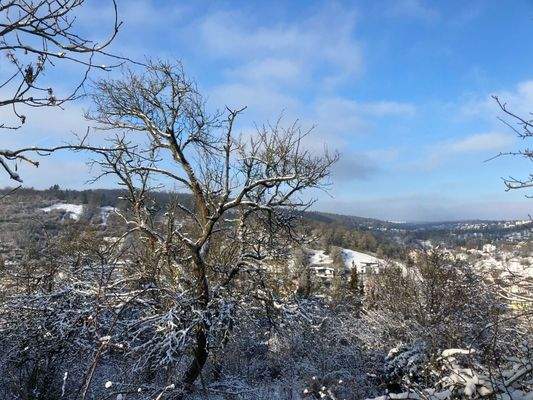Winterimpressionen: Grundstück und Ausblick