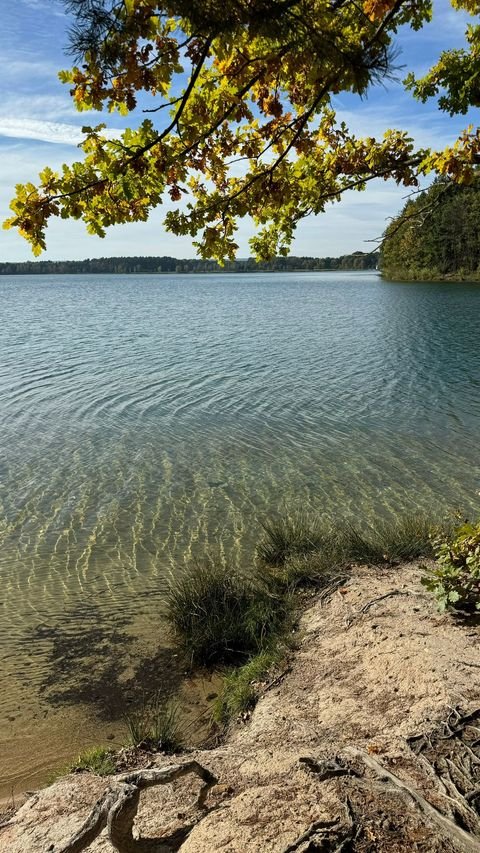 Steinberg am See Wohnungen, Steinberg am See Wohnung kaufen