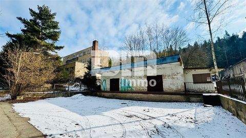 Hohenleuben Industrieflächen, Lagerflächen, Produktionshalle, Serviceflächen