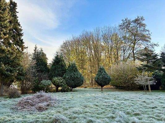 hintere Gartenfläche