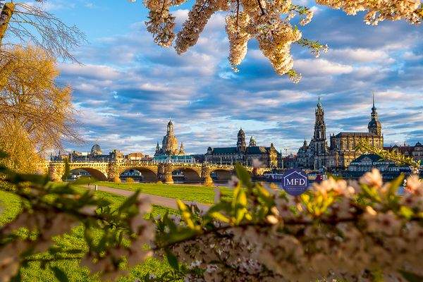 1-Dresden-Leben wo andere Urlaub machen.jpg