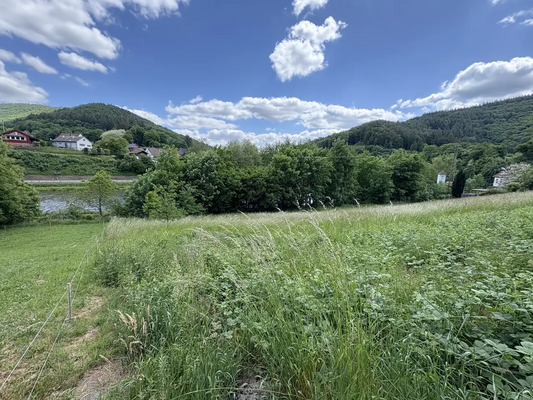 4268be87-6a1e-43dd-bb4b-1a235682daa2-1907228910