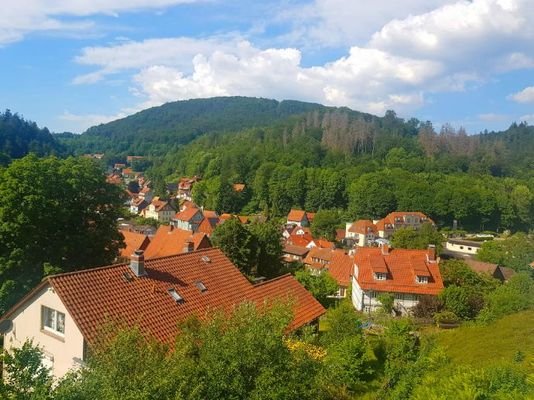Ausblick Balkon