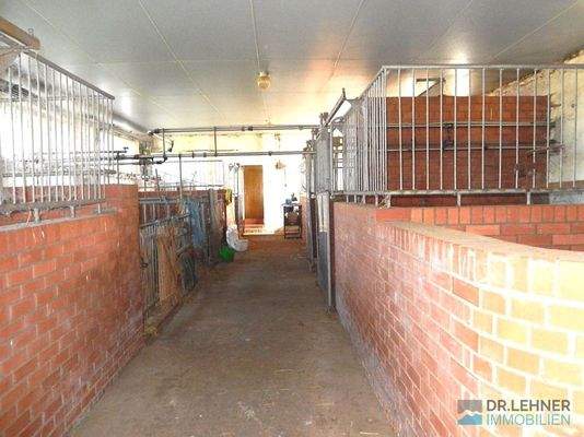 Großtierboxen, beheizbar