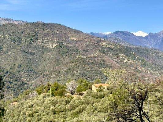 DA958_09 TERRA ITALIA IMMOBILIEN_LIGURIEN_DOLCEACQ