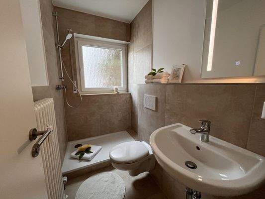 Gästebad mit Dusche