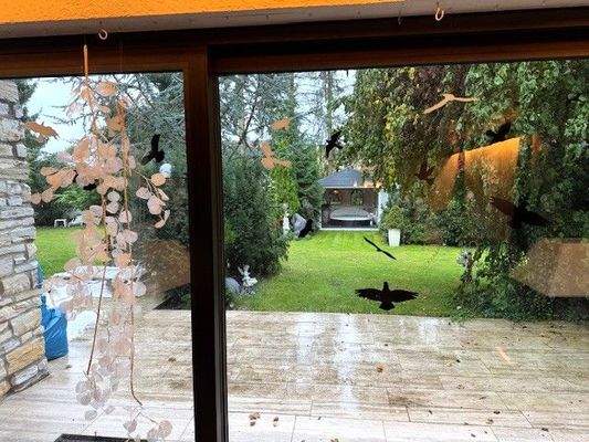 EH 1366 Gartenblick aus dem Wohnzi.