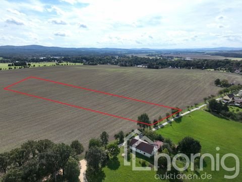 Waldhufen Bauernhöfe, Landwirtschaft, Waldhufen Forstwirtschaft