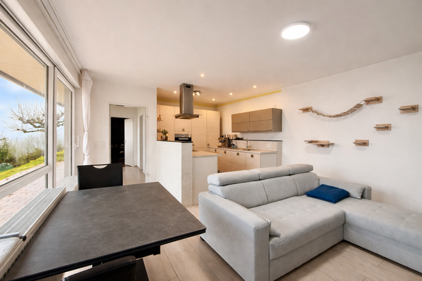 Wohnzimmer: Blick auf Küche