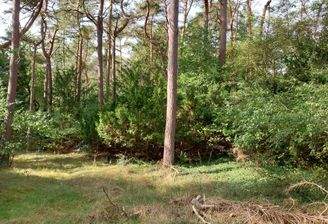 Blick in das Grundstück 