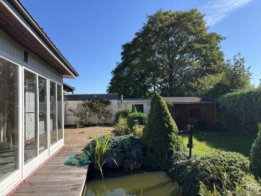 Blick über den hinteren Garten