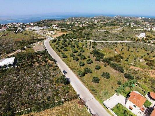 Kreta, Chorafakia: Olivenbäume und Meerblick - in der Nähe von Stränden