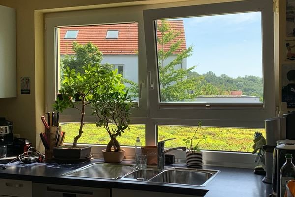 Küchenausblick über das begrünte Garagendach