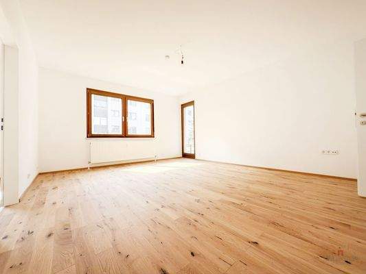 95dde7d5-01e7-40e1-bde0-da7076762a3f_original