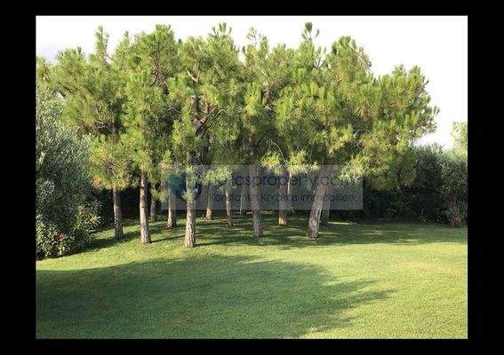 Villa Hersonisos (19)