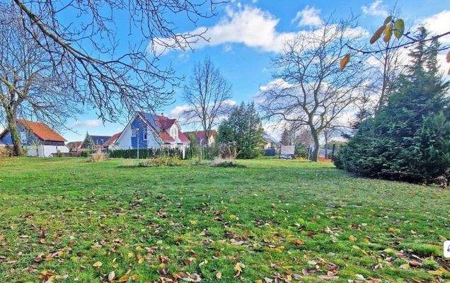 Blick auf das Grundstück.jpg