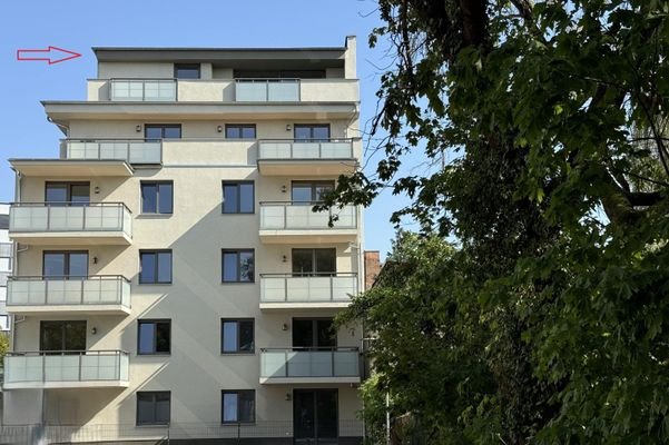 Dachterrasse Westausrichtung