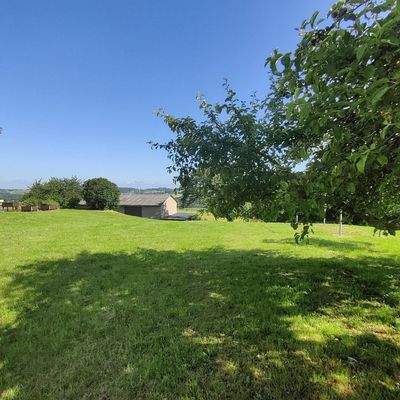 Wiese mit Aussicht B2