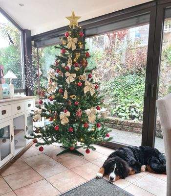 Wintergarten / Wohnraum