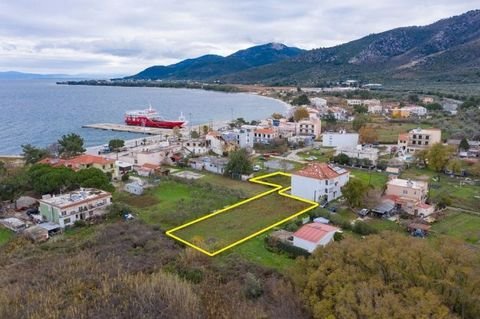 Skala Prinos, Thassos Grundstücke, Skala Prinos, Thassos Grundstück kaufen