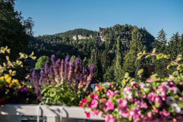 9 Blick zum Berg Oybin.jpg