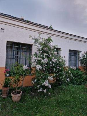 Außenansicht Mittelflügel