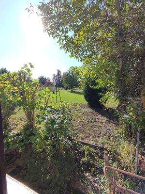 Ausblick Wohnzimmerfenster