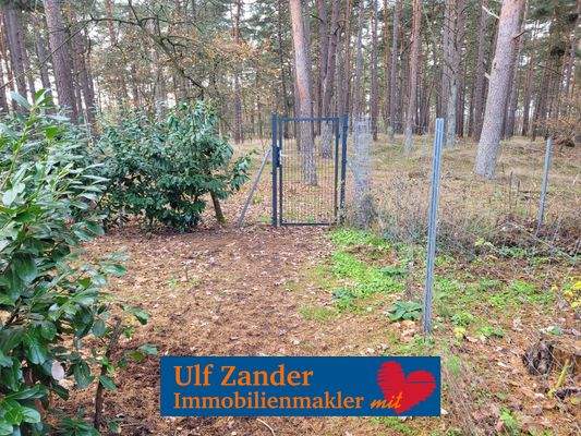 mit eigenem Zugang zum Wald