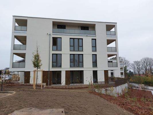 Wildrosenterrassen.I