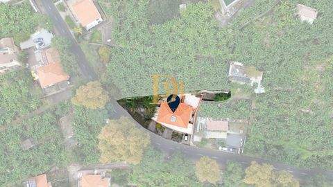 Funchal, Madeira Häuser, Funchal, Madeira Haus kaufen