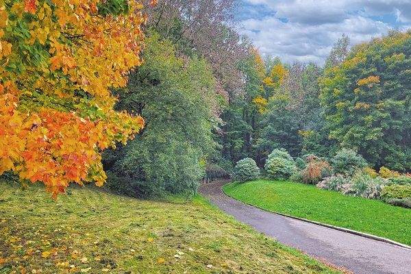 Bodenaufname Weg Mühlberg