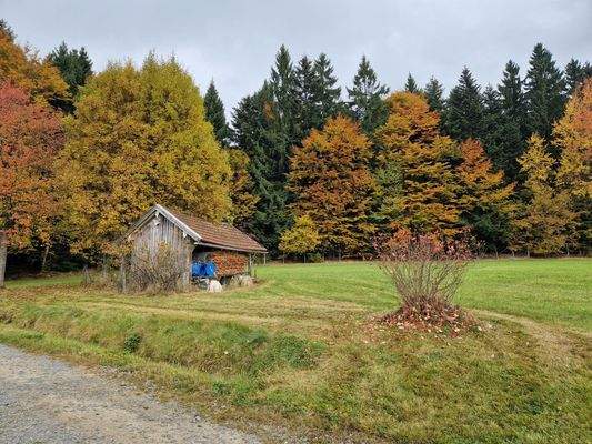 Flur Nr.3557/1 2354m²