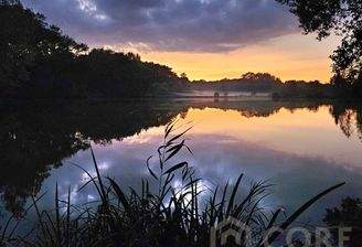 Teich