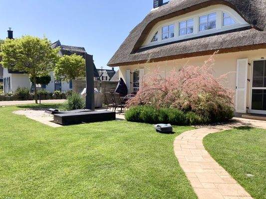 Die begrünte Außenanlage 