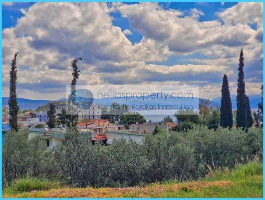 442ad1b94f0e4443942921aea26bcabf-original