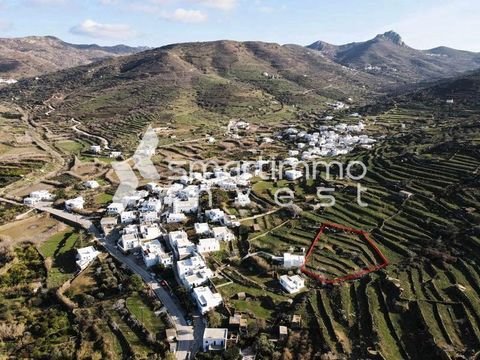 Komi, Tinos Bauernhöfe, Landwirtschaft, Komi, Tinos Forstwirtschaft