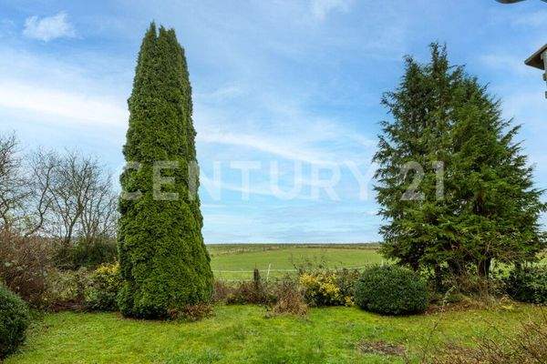 Ausblick aus dem Wintergarten