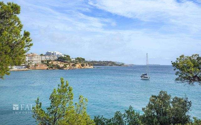 apartamento-palmanova-21