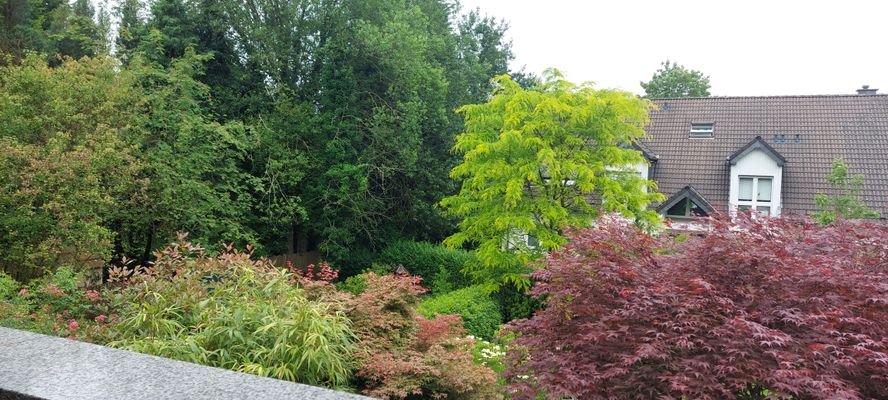 Blick von der Loggia ins Grüne