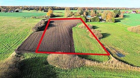 Steinhagen Bauernhöfe, Landwirtschaft, Steinhagen Forstwirtschaft