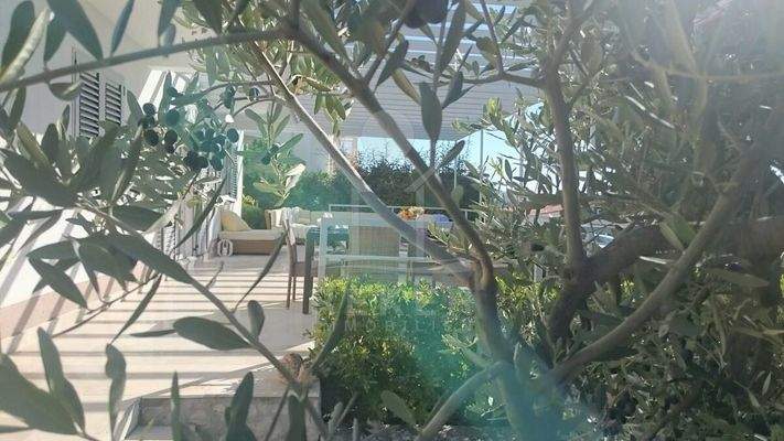 Mediterran bepflanzter Garten zum Verlieben