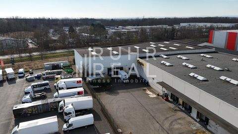 Kerpen Halle, Kerpen Hallenfläche