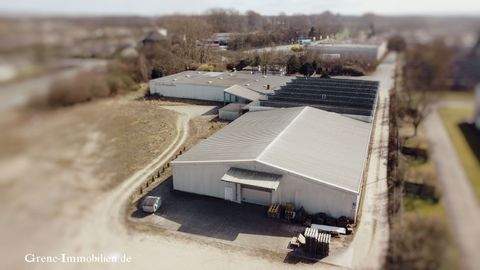 Uelzen Halle, Uelzen Hallenfläche