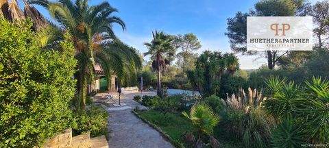 Pina Häuser, Pina Haus kaufen