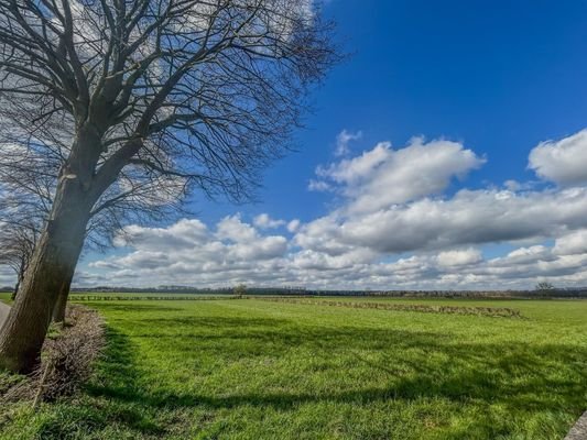 14 Blick in die Natur