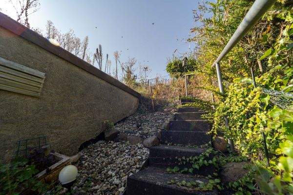 Außenansicht + Garten