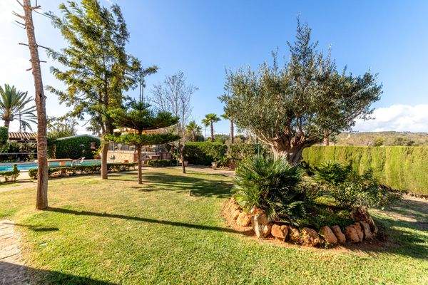 Garten neben dem Pool