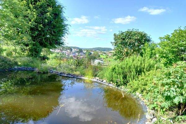 3408 Gartenimpressionen d